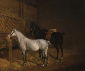 Un poni gris y un caballo de guerra negro en un establo